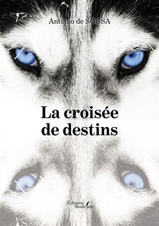 Couverture_La crois&eacute;e de destins