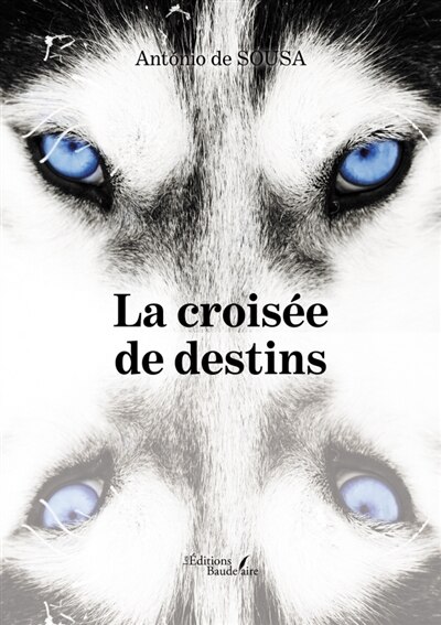 Couverture_La crois&eacute;e de destins