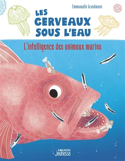 Les cerveaux sous l'eau: l'intelligence des animaux marins