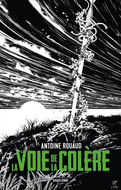 Couverture_La voie de la colère