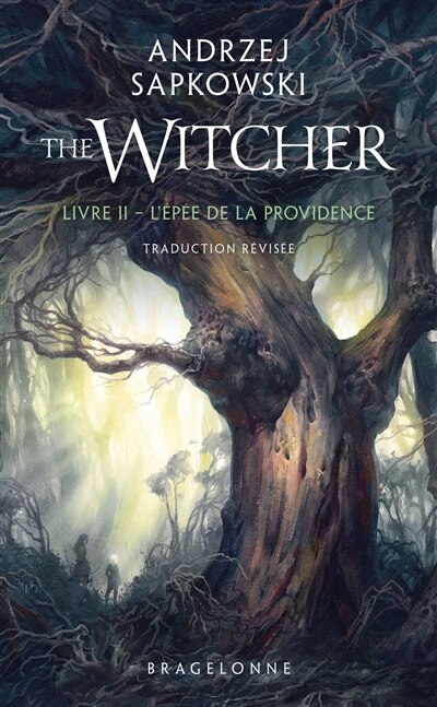 Front cover_Sorceleur (Witcher) - Poche  T2 : L'Épée de la providence
