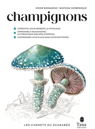 Couverture_Champignons