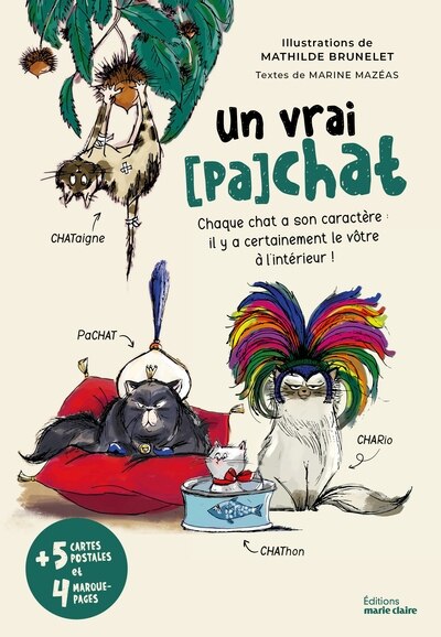 Un vrai (pa)chat: chaque chat a son caractère