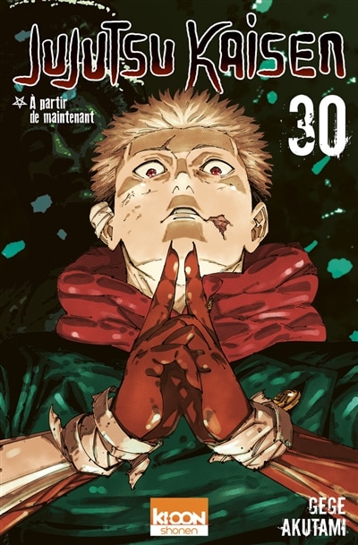 Couverture_Jujutsu kaisen, Vol. 30
