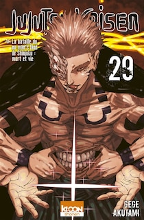 Couverture_Jujutsu kaisen t29