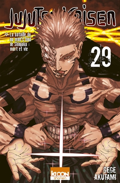 Couverture_Jujutsu kaisen t29