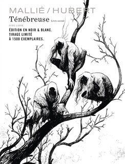Couverture_Ténébreuse, Vol. 2