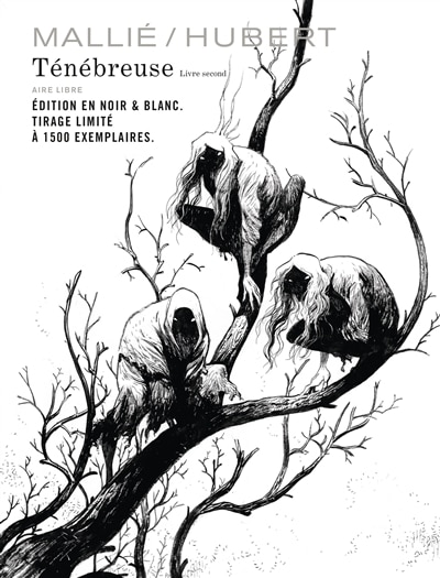 Couverture_Ténébreuse, Vol. 2
