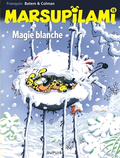 Couverture_Magie blanche