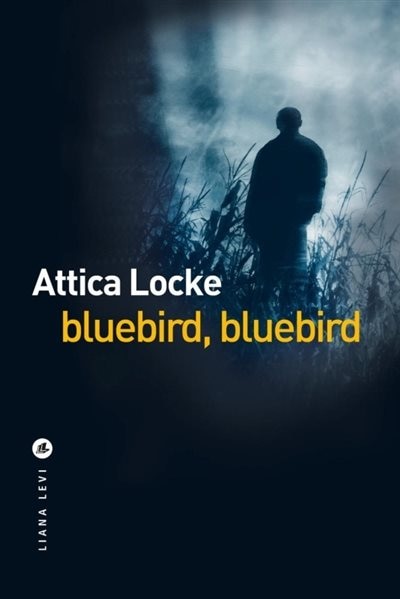 Front cover_Bluebird, bluebird