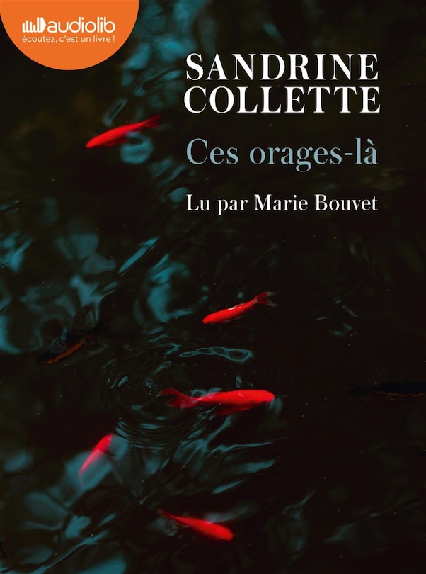 Front cover_Ces orages-là