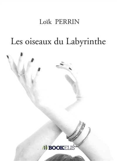 Front cover_Les oiseaux du Labyrinthe