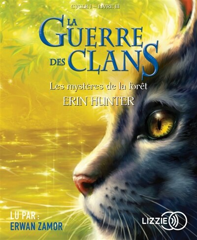 Couverture_Les mystères de la forêt