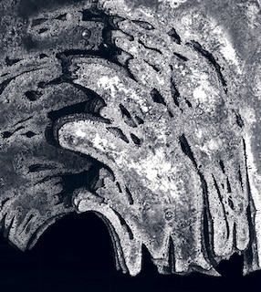 Front cover_Pierre Sabatier