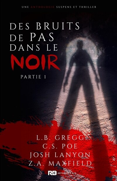 Couverture_Des bruits de pas dans le noir