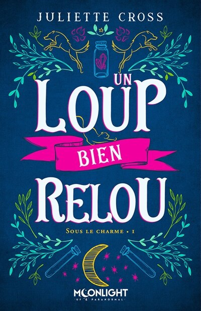 Front cover_Un loup bien relou