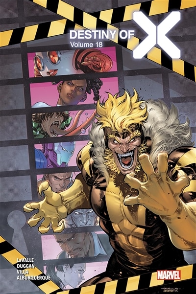 Couverture_Destiny of X, Vol. 18