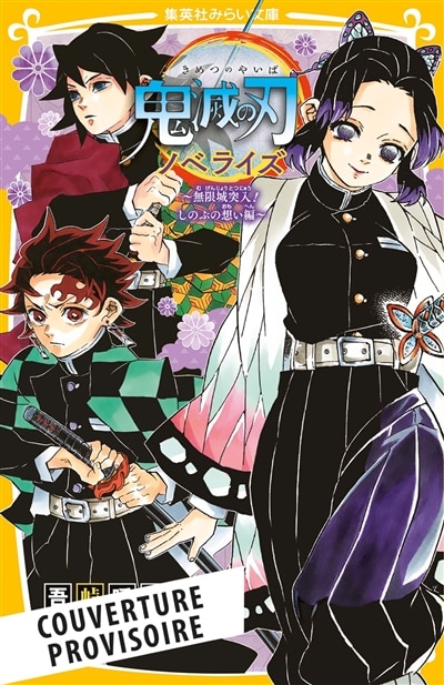 Couverture_DEMON SLAYER ROMAN JEUNESSE T06