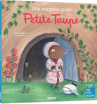 Front cover_Une surprise pour Petite Taupe