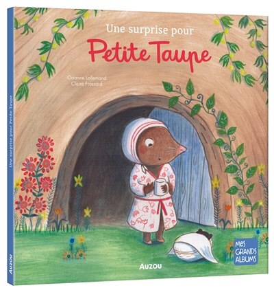 Front cover_Une surprise pour Petite Taupe