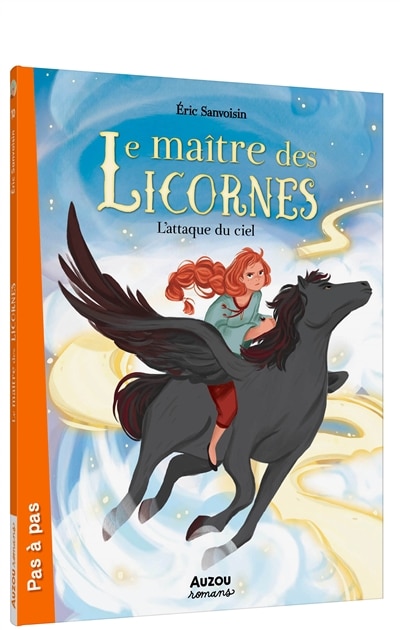 Couverture_L'attaque du ciel