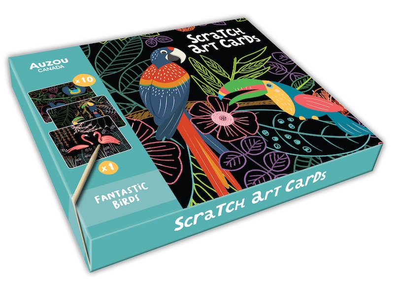 Front cover_Fantastic Birds