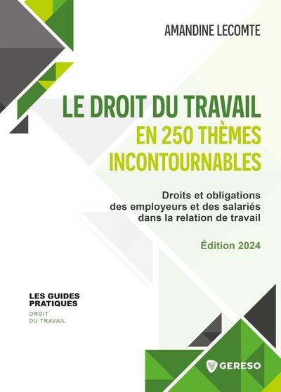 Couverture_Le droit du travail en 250 thèmes incontournables : droits et obligations des employeurs et des salariés dans la relation de travail