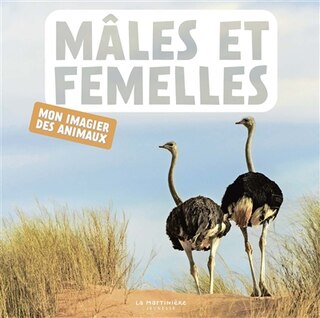 Couverture_Mâles et femelles