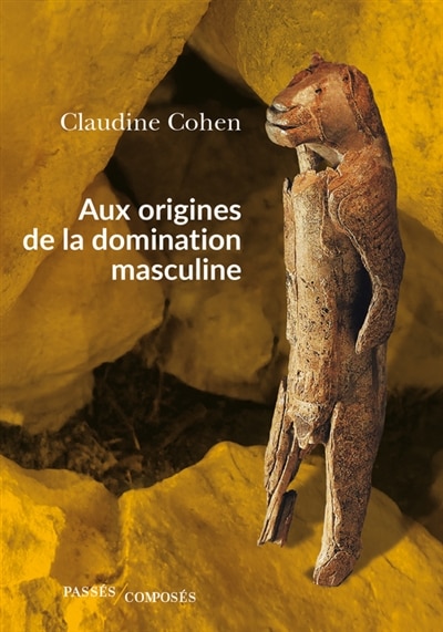 Couverture_Aux origines de la domination masculine
