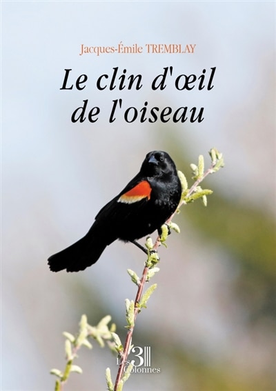 Front cover_Le clin d'oeil de l'oiseau