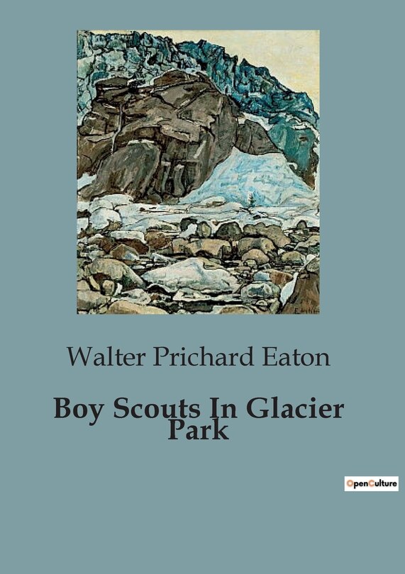 Couverture_Boy Scouts In Glacier Park