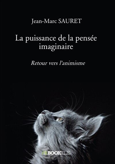 La puissance de la pensée imaginaire: Retour vers l'animisme