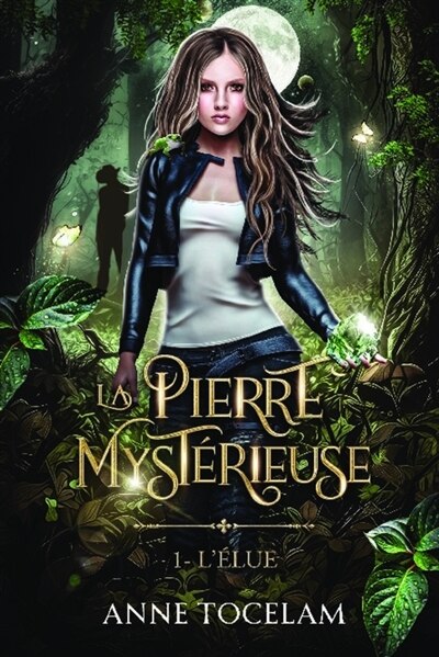 La Pierre Mystérieuse: Tome 1