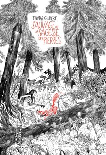 Front cover_Sauvage ou la sagesse des pierres
