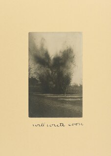 Couverture_Will Write Soon