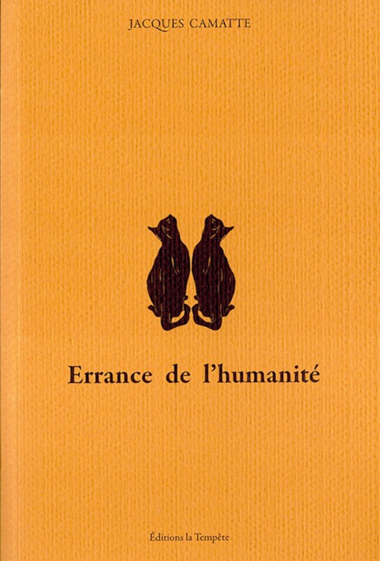 Couverture_Errance de l'humanité