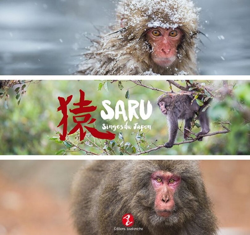 Couverture_Saru