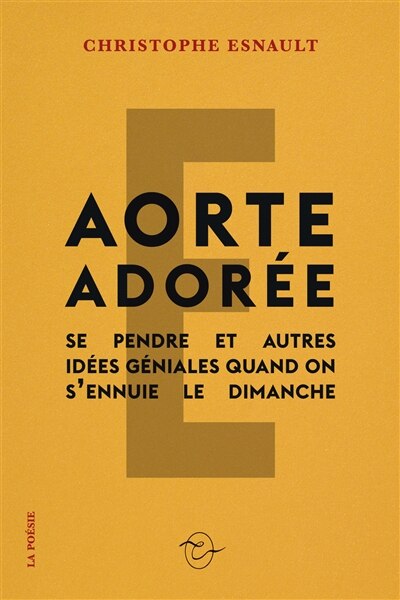 Front cover_Aorte adorée : se pendre et autres idées géniales quand on s'ennuie le dimanche