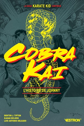 Cobra Kai: l'histoire de Johnny