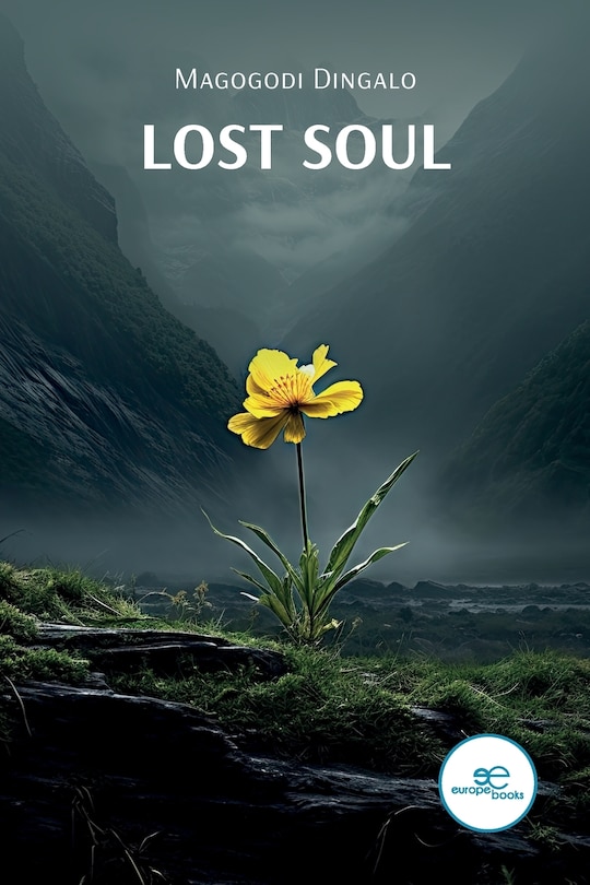 Couverture_Lost Soul