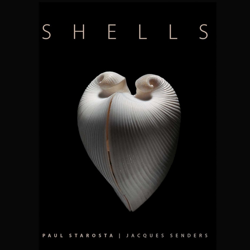 Front cover_Shells