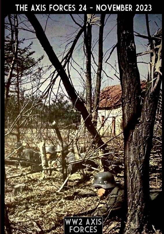 Front cover_The Axis Forces 24