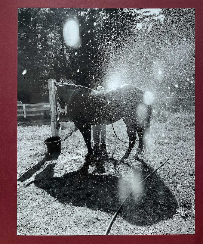 Front cover_Calling the Birds Home