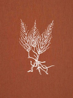 Front cover_Brigantinas