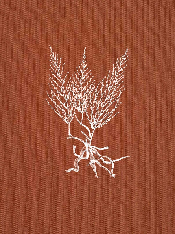 Front cover_Brigantinas