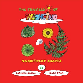 Front cover_Magnificent shapes