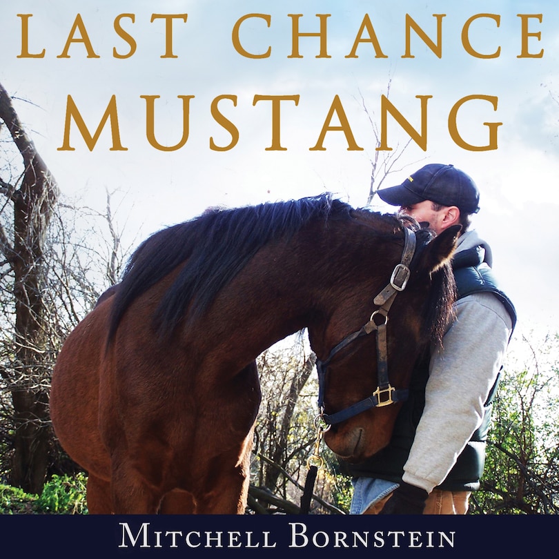 Couverture_Last Chance Mustang