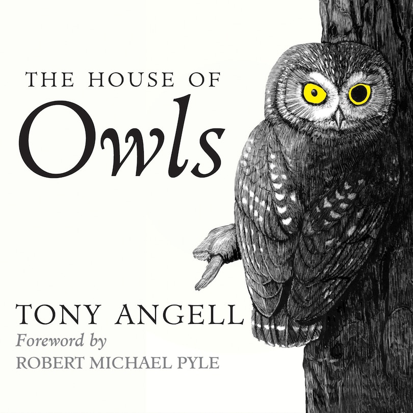 Front cover_The House of Owls