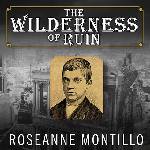 Front cover_The Wilderness of Ruin