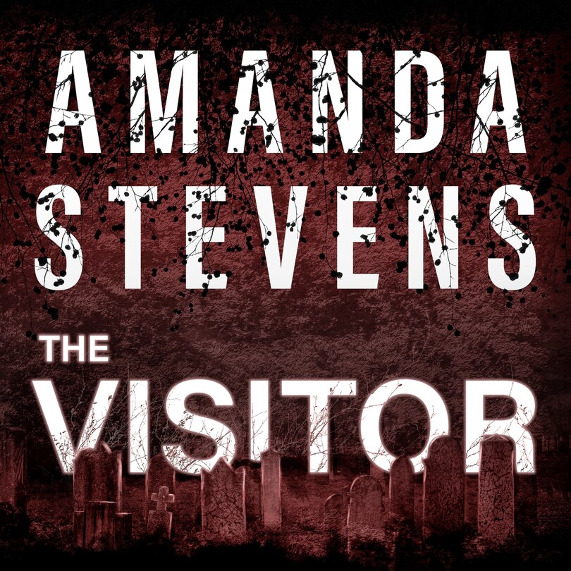 Front cover_The Visitor